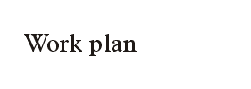 Work plan